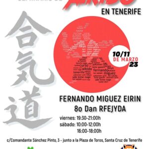 Curso de aikido, Fernando Miguel en Tenerife