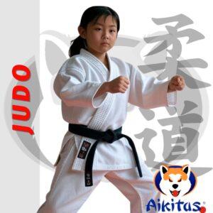 JUDO hermanos mensualidad