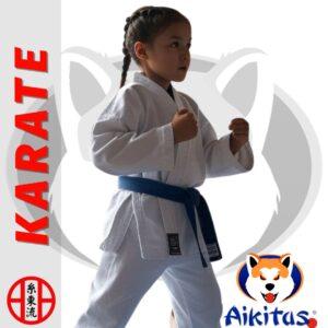 KARATE Hermanos mensualidad