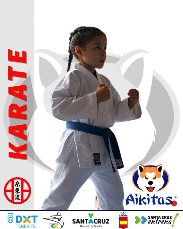 KARATE mensualidad